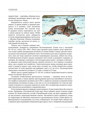 Шакун В.В. и др. "Млекопитающие Беларуси"